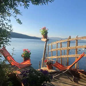 Gasthuis Rosas, Lini